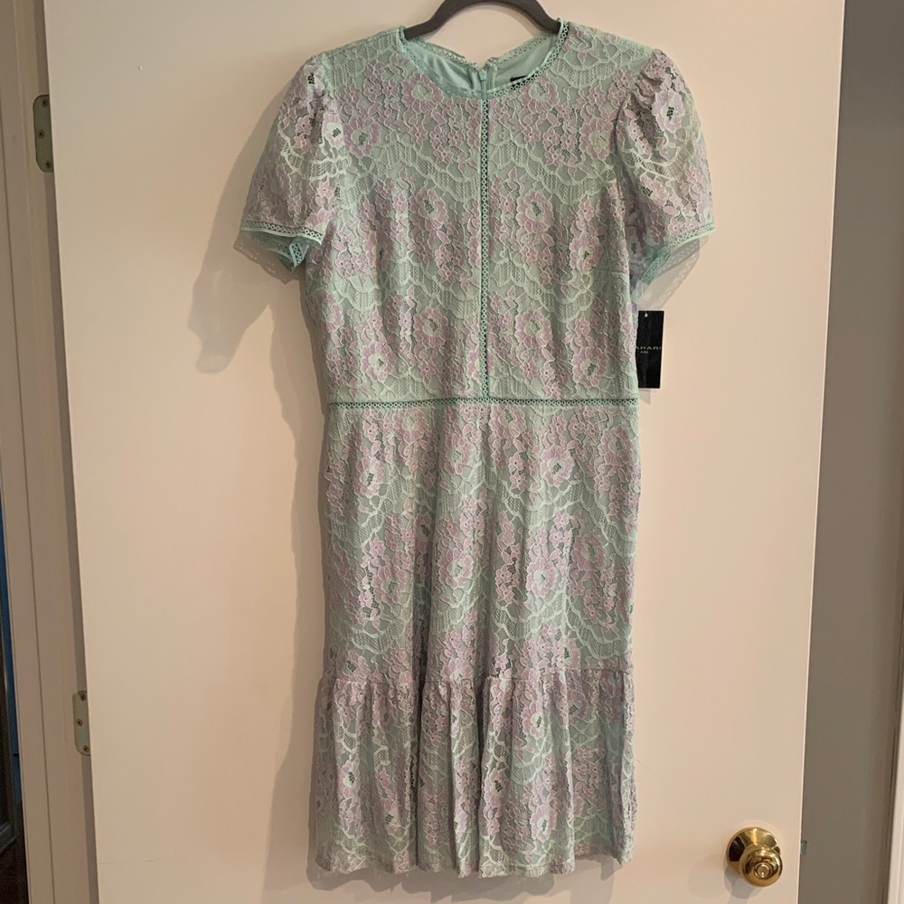 Tahari Mint Green and Light Pink Lace Midi Dress